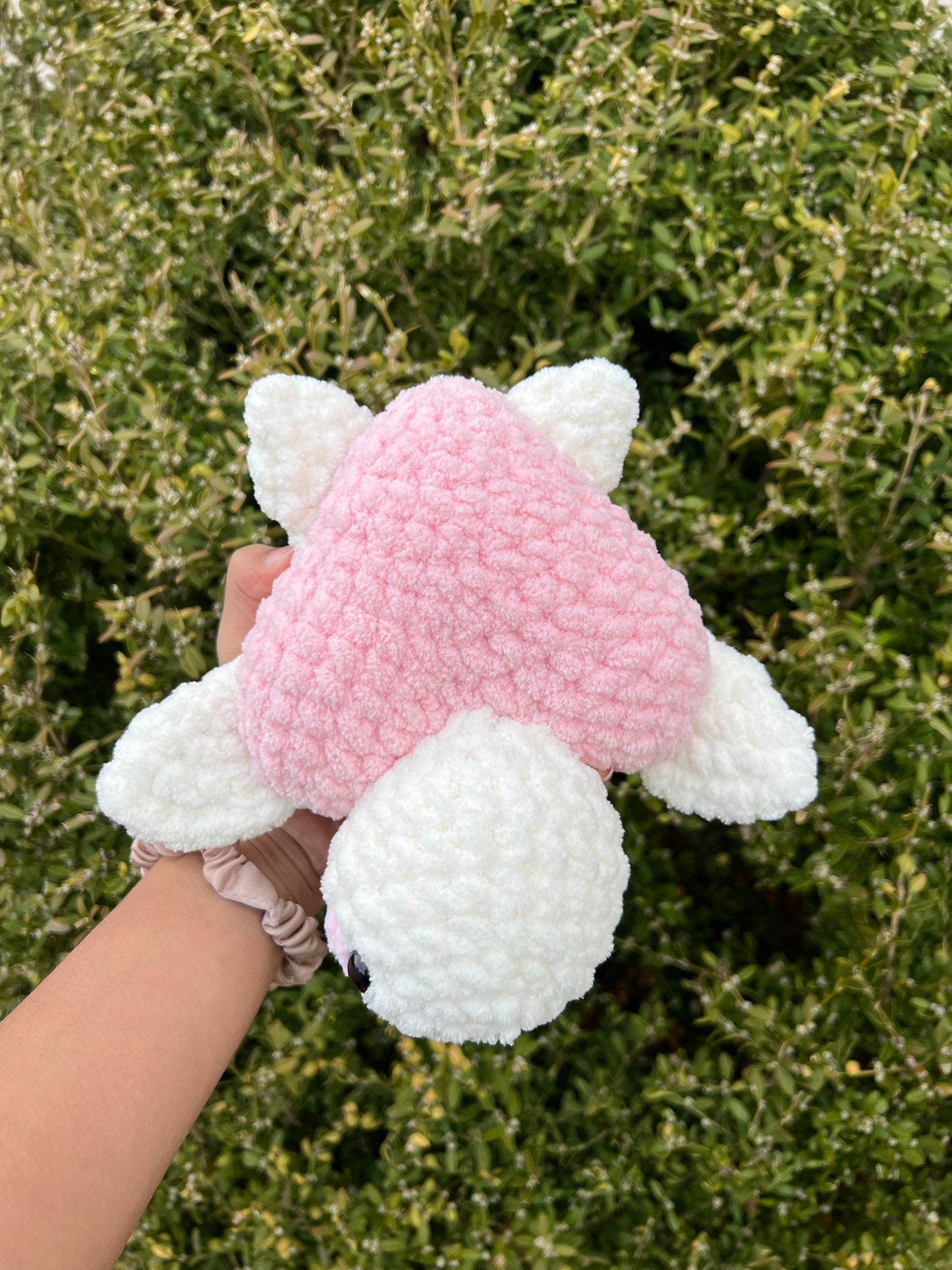 Heart Turtles