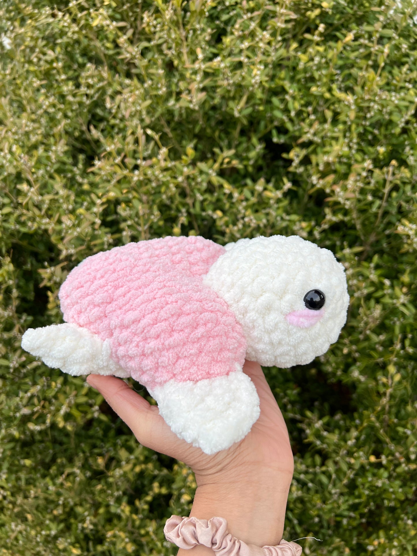 Heart Turtles